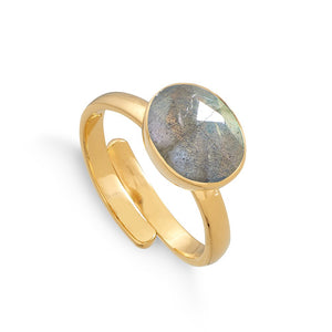 Atomic Midi Labradorite Gold Adjustable Ring