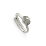 Atomic Mini Labradorite Silver Adjustable Ring