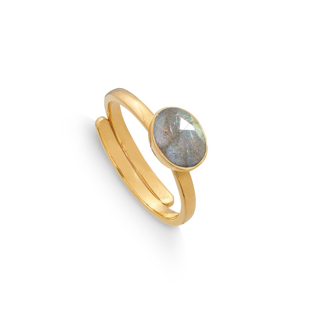 Atomic Mini Labradorite Gold Adjustable Ring