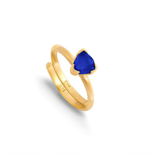Audie Dark Iolite Gold Adjustable Ring