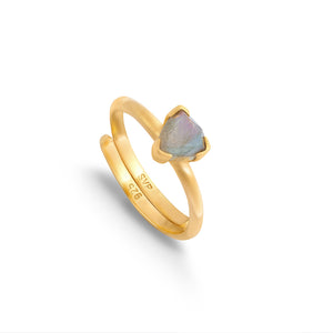 Audie Labradorite Gold Adjustable Ring